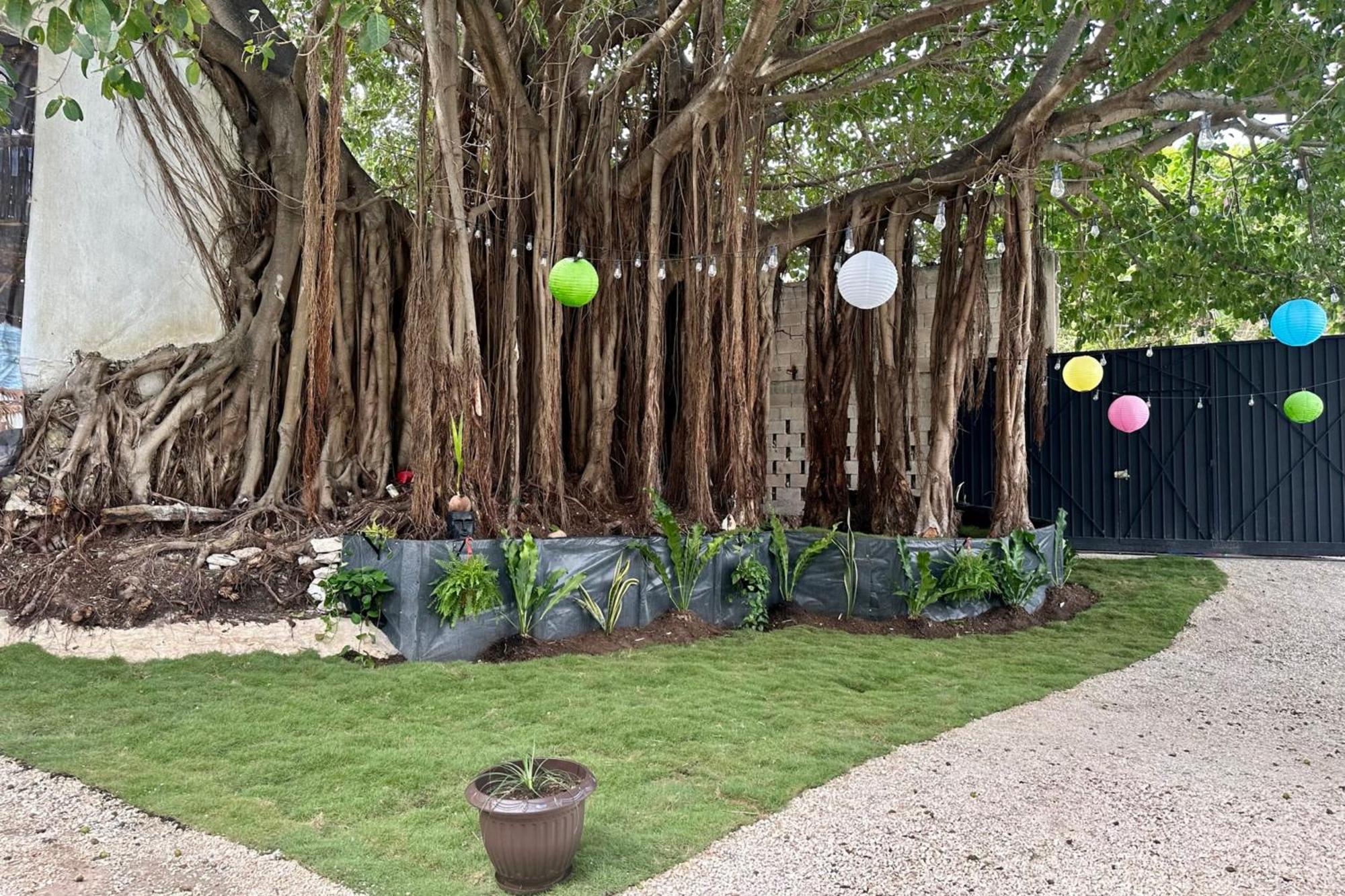 La Quinta Caribena Apartamento Playa del Carmen Exterior foto